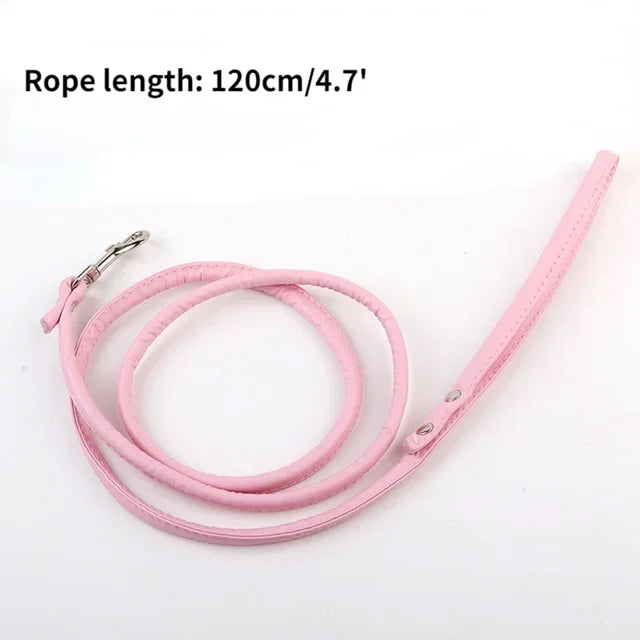 Traction Rope & Metal Anal Plug Set
