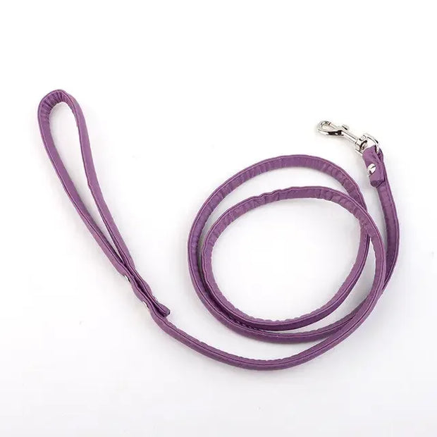 Traction Rope & Metal Anal Plug Set
