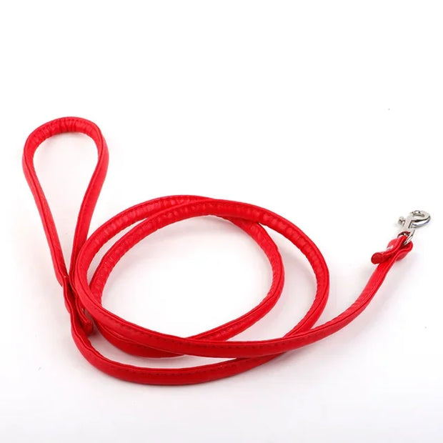 Traction Rope & Metal Anal Plug Set