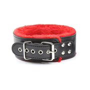 Leather Plush Collar with Leash
