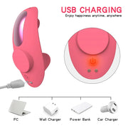 Remote Control Sucking Vibrator For Panties