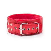 Leather Plush Collar with Leash