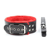 Leather Plush Collar with Leash