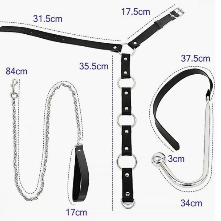Complete Anal Plug Hook Bondage Kit