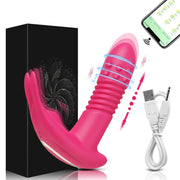 APP Rotating Telescopic Thrusting Vibrator