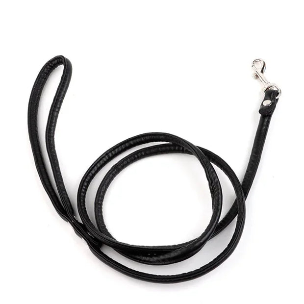 Traction Rope & Metal Anal Plug Set