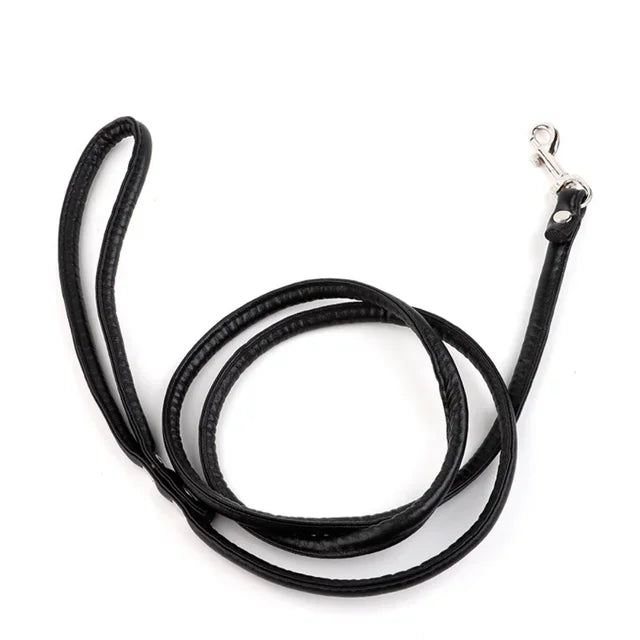 Traction Rope & Metal Anal Plug Set