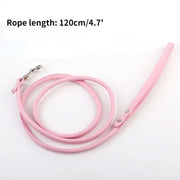 Traction Rope & Metal Anal Plug Set